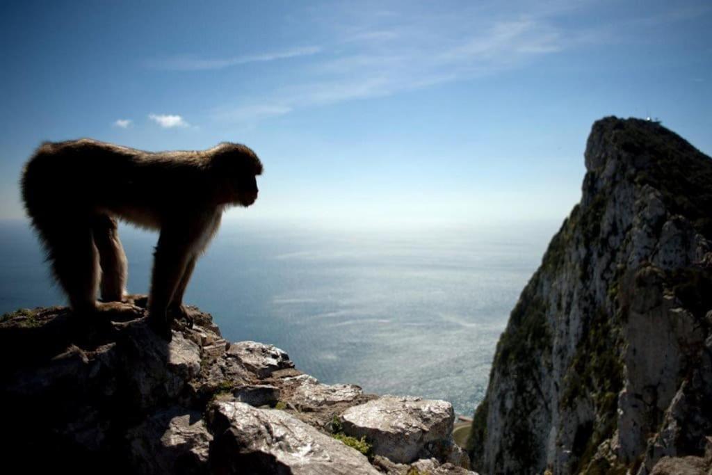 Best Location 2 Bed2 Bath W/Lift In Town! Gibraltar Ngoại thất bức ảnh